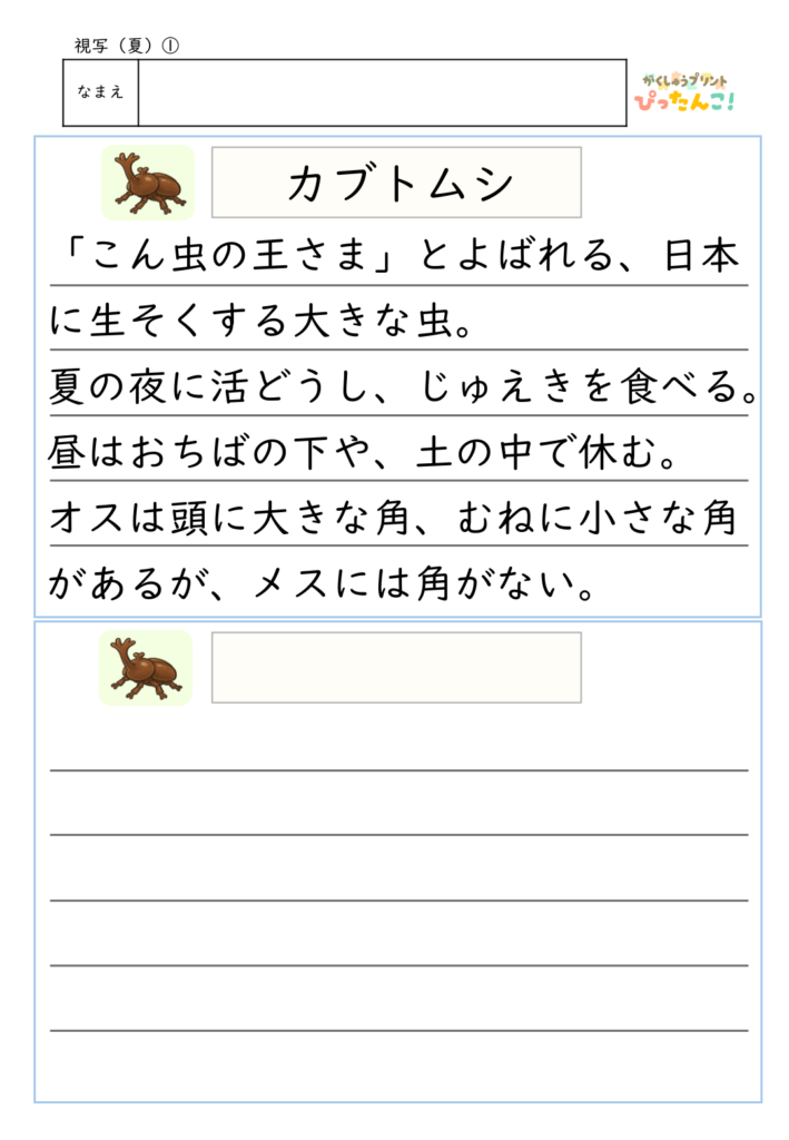 夏の視写プリント 虫や植物・野菜の説明を書き写して ひらがな・漢字・語彙を楽しく学べる教材