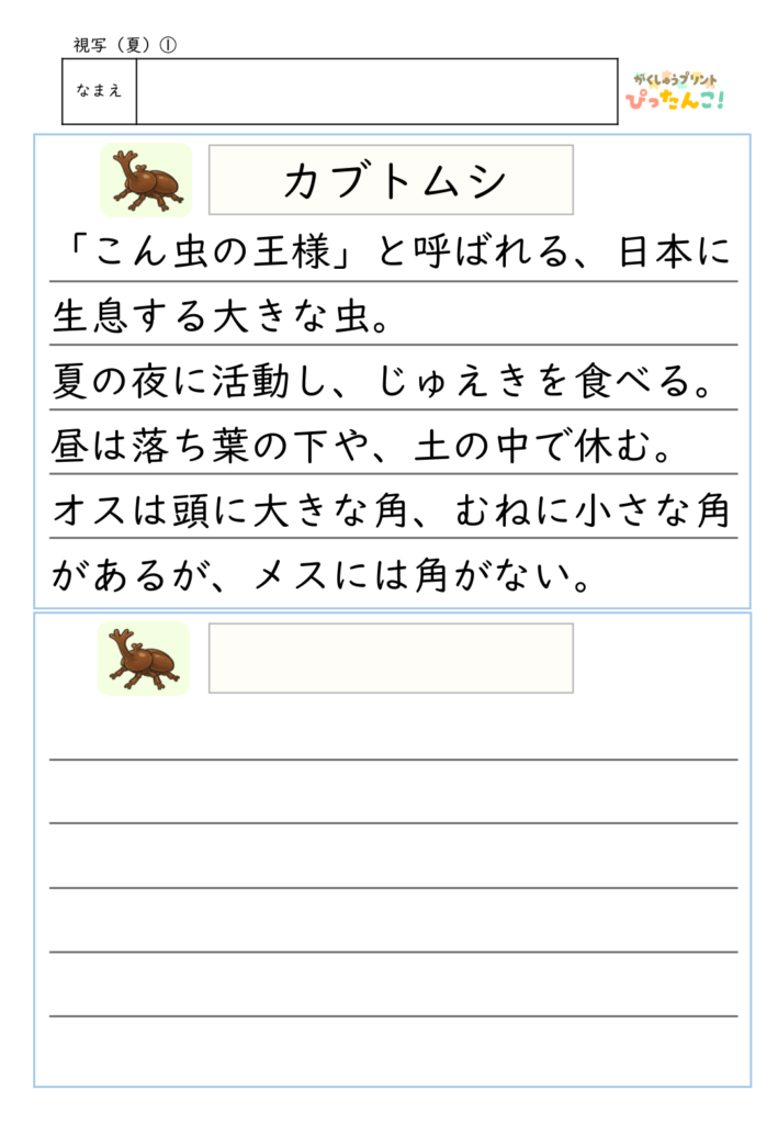 夏の視写プリント 虫や植物・野菜の説明を書き写して ひらがな・漢字・語彙を楽しく学べる教材